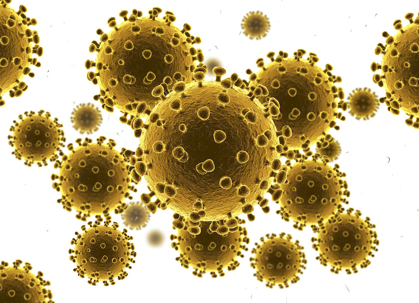 Corona Virus 5.jpg