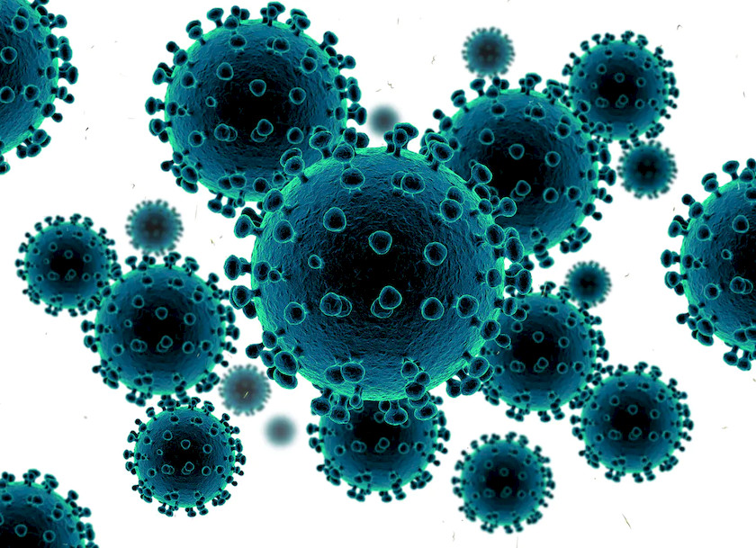 Corona Virus 1.jpg