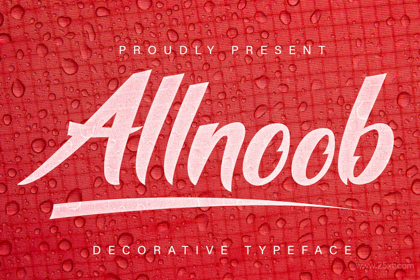 Allnoob Decorative Font 1.jpg