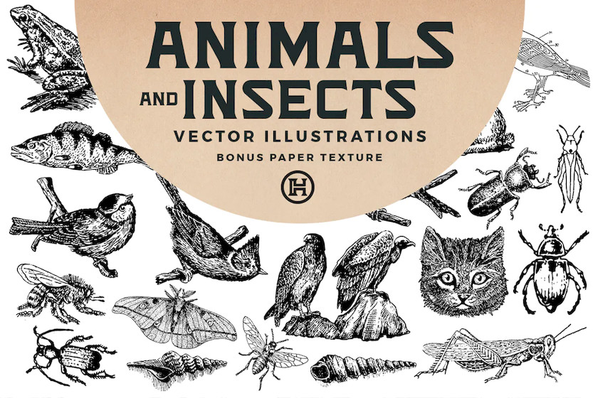 Animals and Insects Vectors 4.jpg