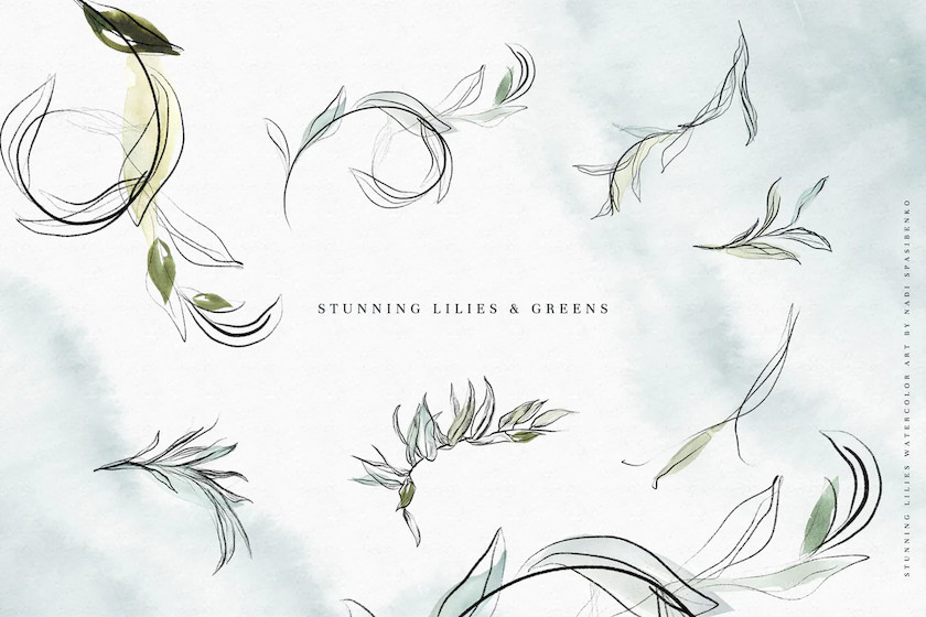 Stunning Lilies 2.jpg
