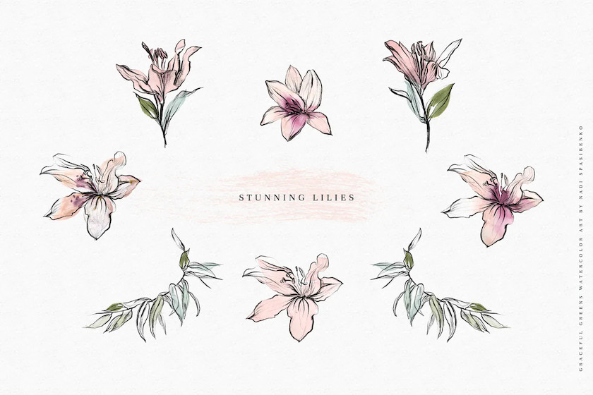 Stunning Lilies 3.jpg