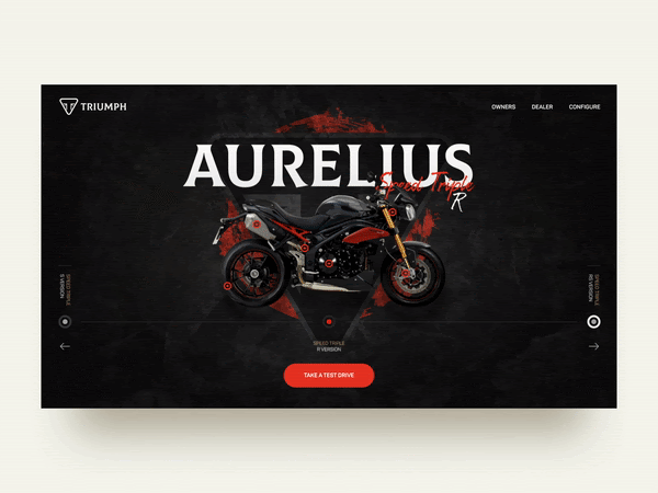 1582279669821329.gif website-header-design-in-2020 5.gif