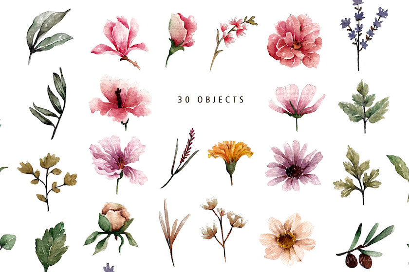  Floral Botanical Watercolor Set 5.jpg