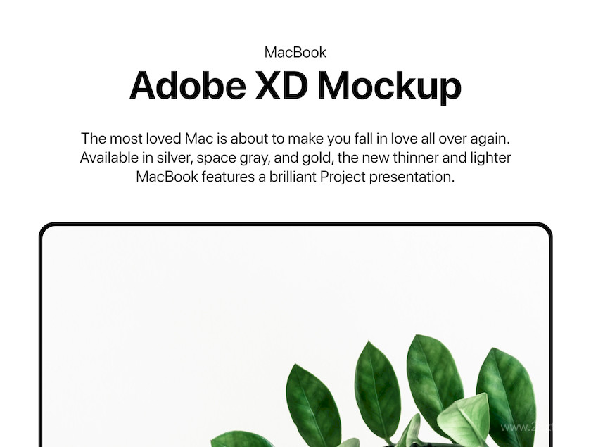 MacBook Mockup XD6.jpg