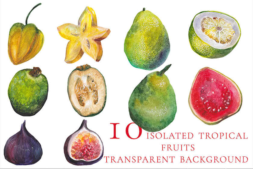 10 isolated watercolor tropical fruits 2.jpg