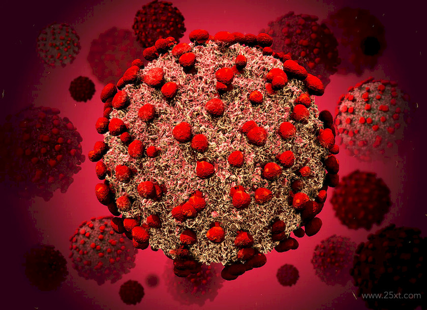 CoronaVirus 3.jpg