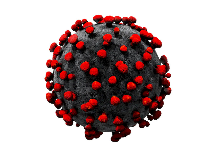 CoronaVirus 2.jpg