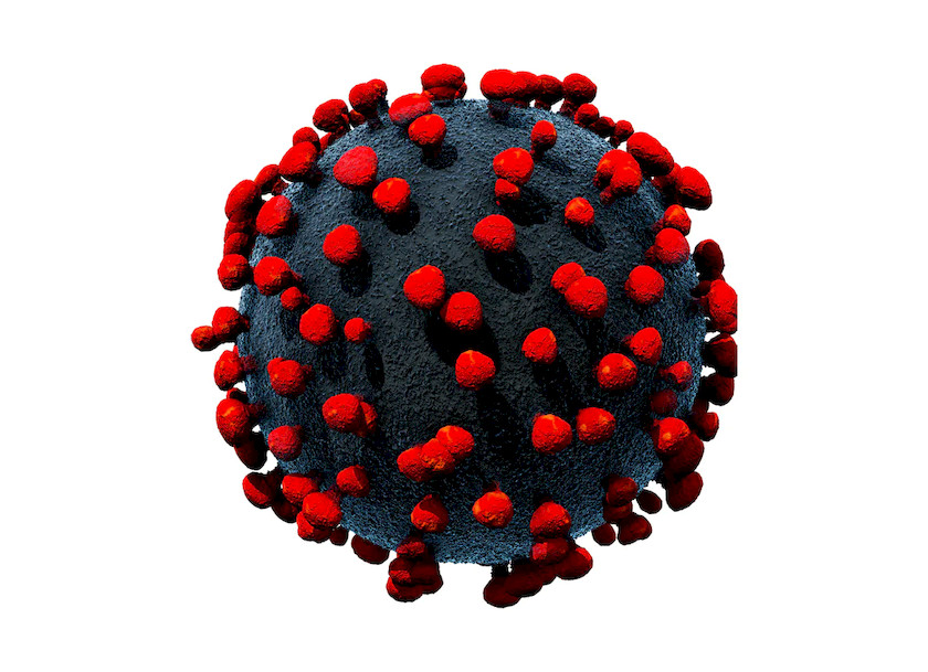 CoronaVirus 10.jpg