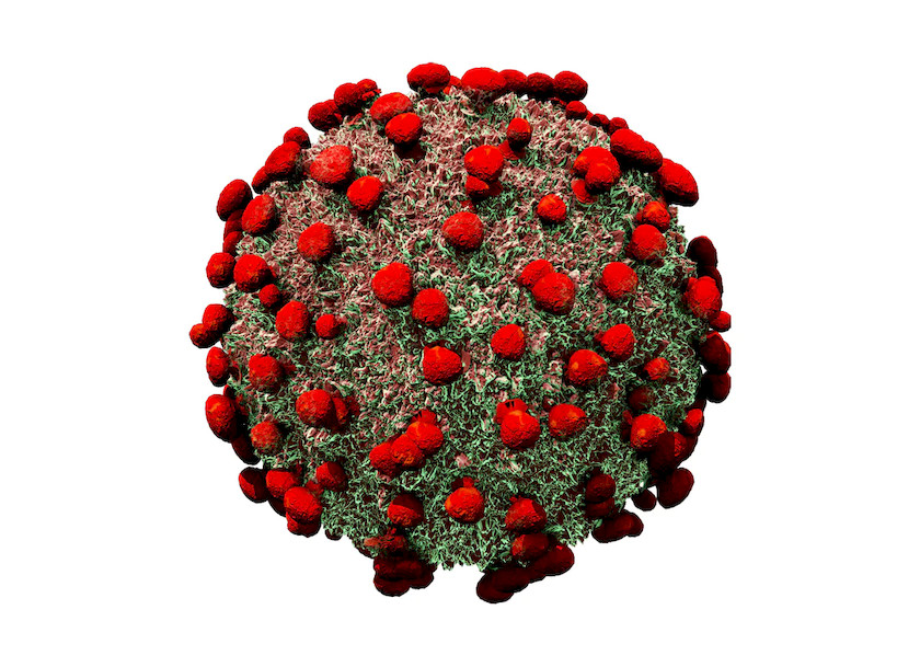 CoronaVirus 9.jpg