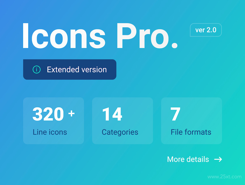 Icons Pro (extended version)1.jpg