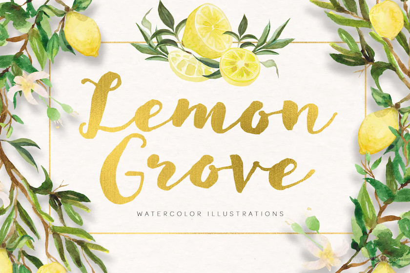 Lemon Grove Watercolor Illustrations 7.jpg