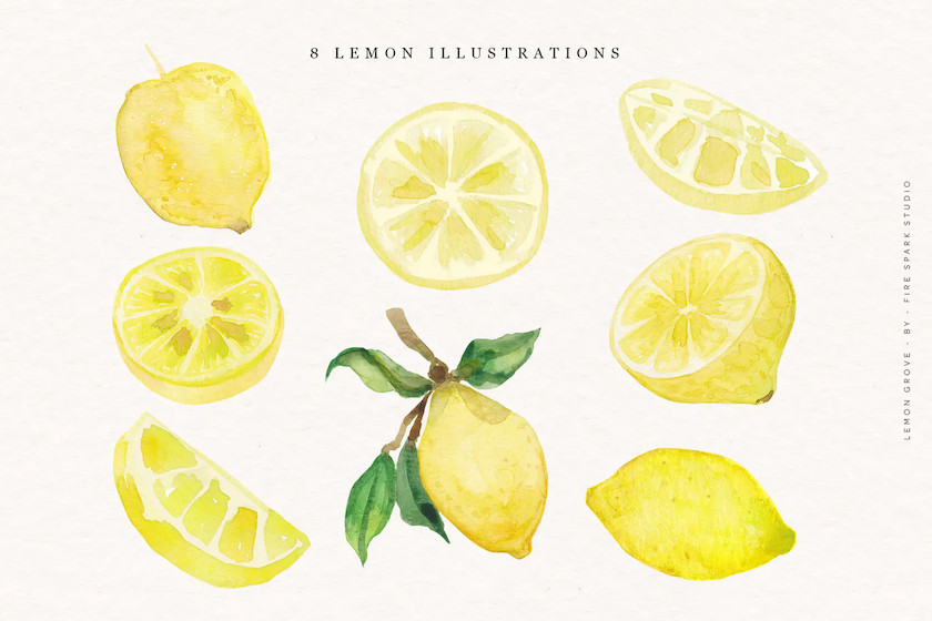 Lemon Grove Watercolor Illustrations 6.jpg