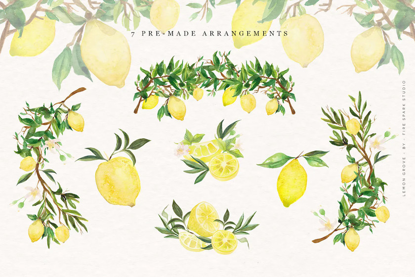 Lemon Grove Watercolor Illustrations 2.jpg
