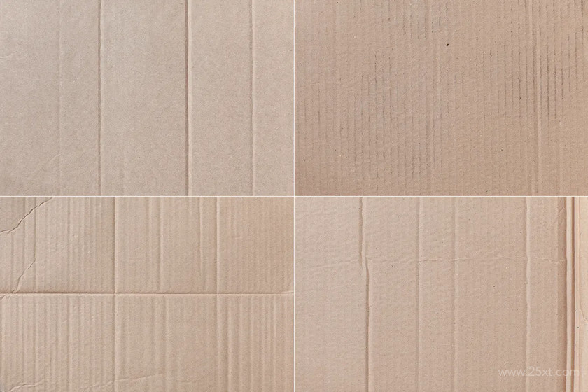 Cardboard 20 5.jpg
