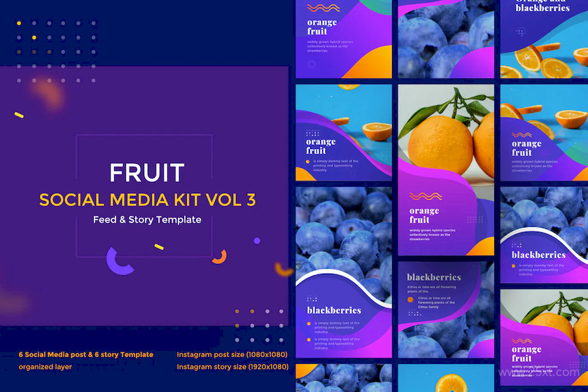Fruit Social Media Kit vol 31.jpg