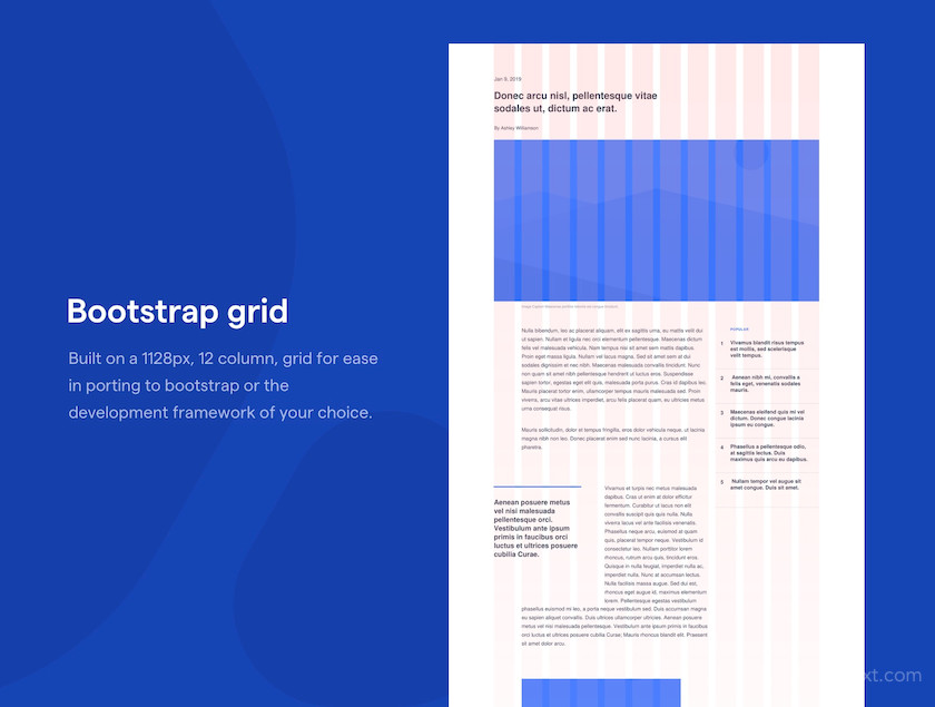 Apollo Wireframe UI Kit 2.jpg