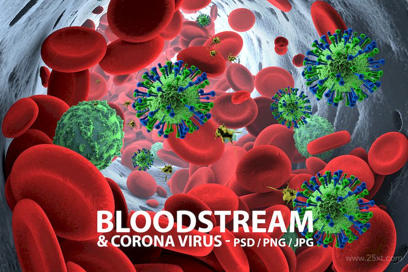 483398 Bloodstream with Coronavirus 2.jpg