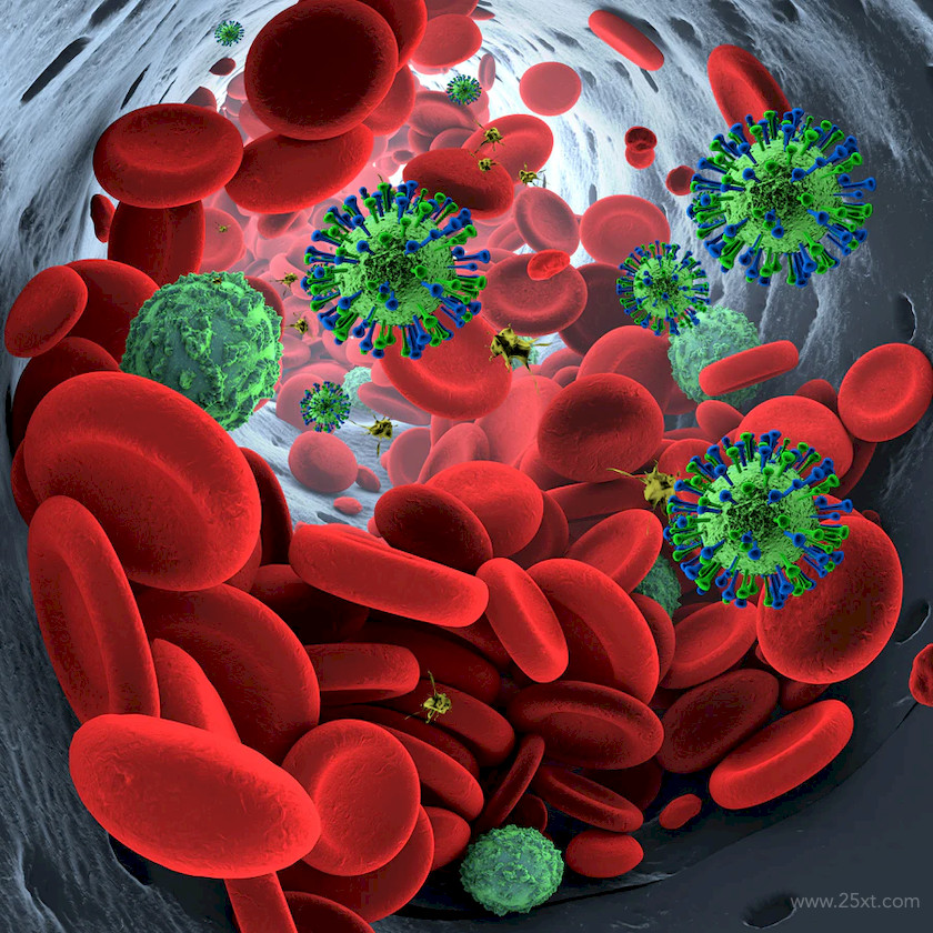 483398 Bloodstream with Coronavirus 1.jpg