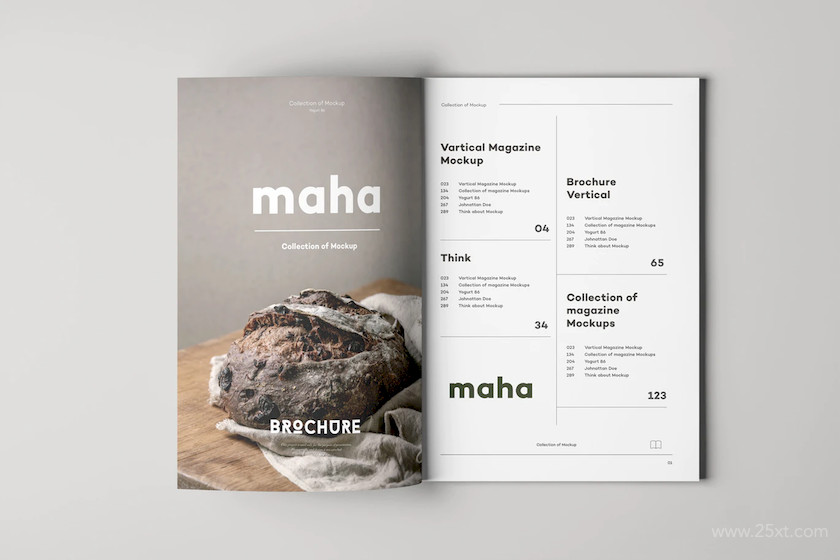 483429 A4 Magazine Mock-up 54.jpg