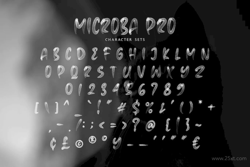 483645 Microba Pro SVG Font3.jpg
