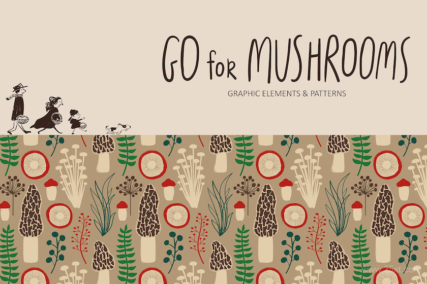 483649 Go for Mushrooms. Forest Collection1.jpg