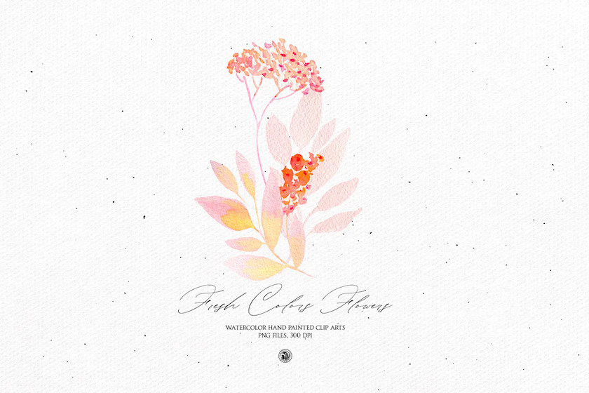 25xt-483692 Fresh Colors Flowers - watercolor set3.jpg