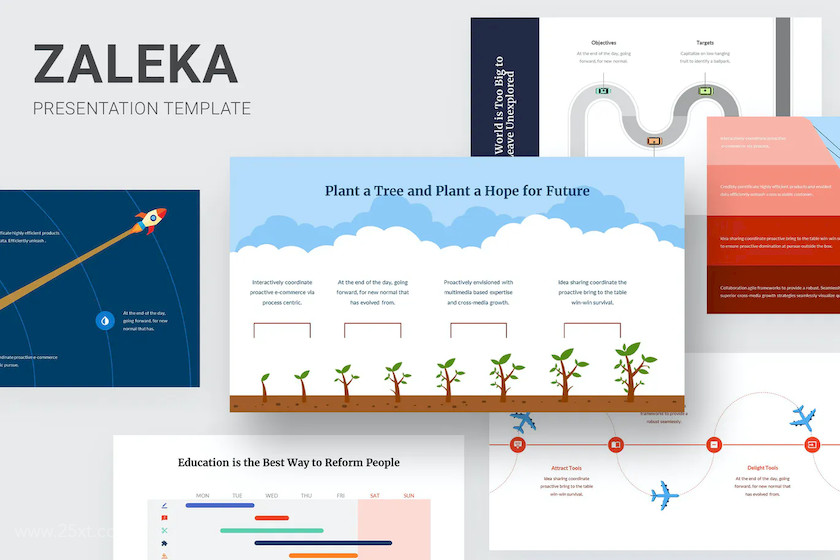 25xt-483769 Zaleka - Timeline Infographic Powerpoint5.jpg