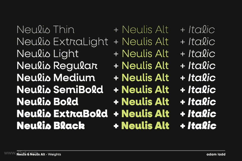 25xt-483803 Neulis Font Family 1.jpg