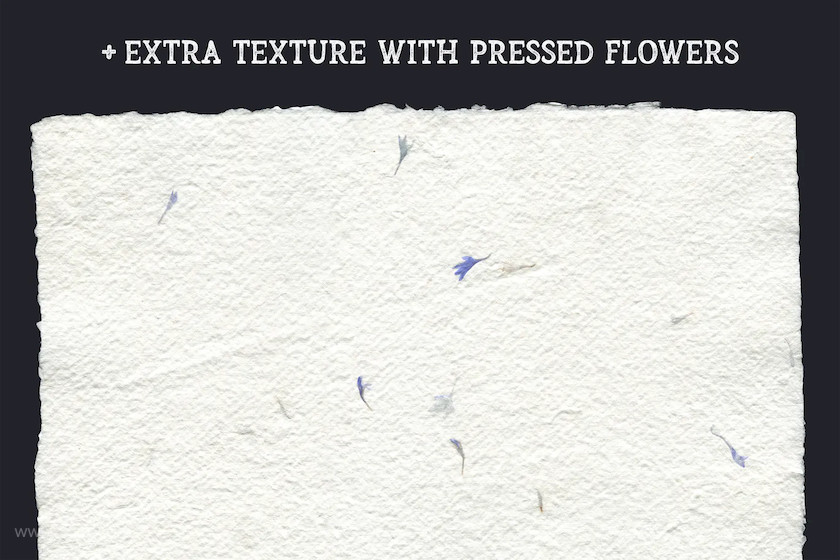 25xt-483899 Handmade Paper Cutouts3.jpg