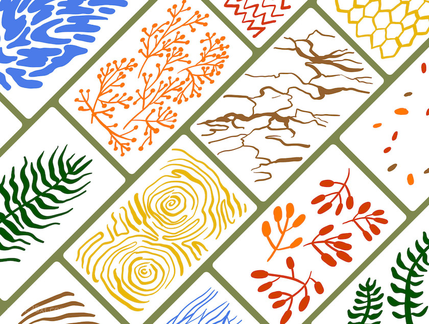 25xt-483919 Nature Shapes Backgrounds & Patterns #21.jpg