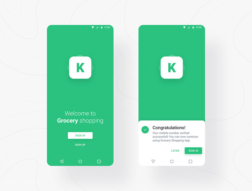 25xt-483986 Grocery Shopping App1.jpg