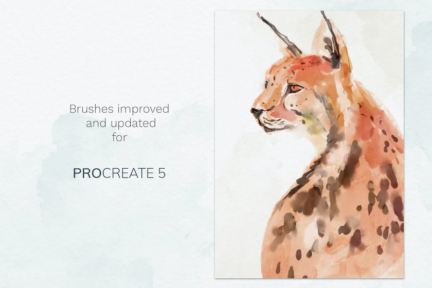 25xt-484005 Procreate watercolor brush set3.jpg