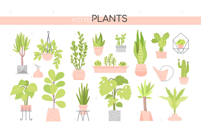 25xt-484036 Potted plants collection - set of elements.jpg