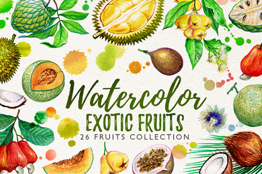 25xt-484054 watercolor fruits vol. 5.jpg