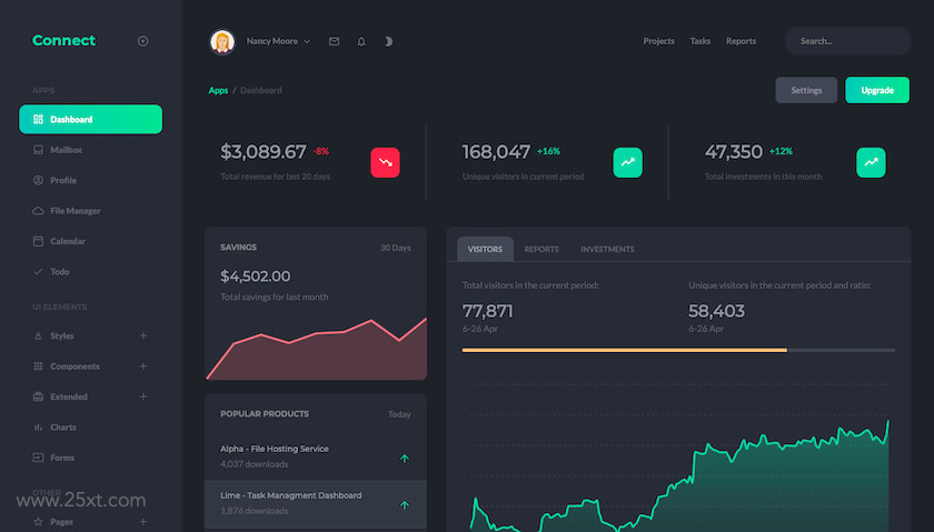 25xt-484060 Connect - Responsive Admin Dashboard Template4.jpg