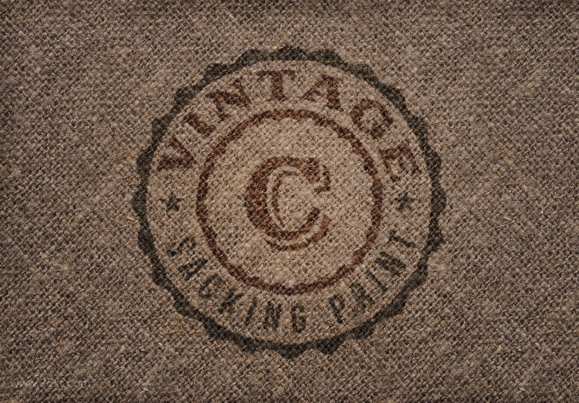 25xt-484233 8 Realistic Logo or Text Mock-ups3.jpg