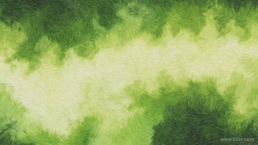25xt-5042821 Abstract Fur Textures and Backgrounds	5.jpg
