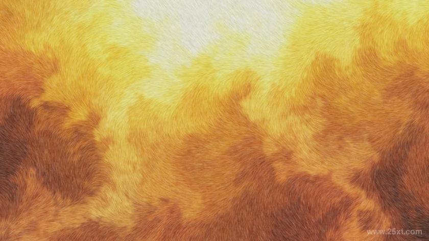 25xt-5042821 Abstract Fur Textures and Backgrounds	4.jpg