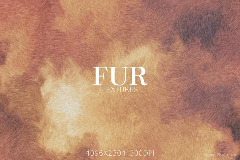 25xt-5042821 Abstract Fur Textures and Backgrounds	1.jpg
