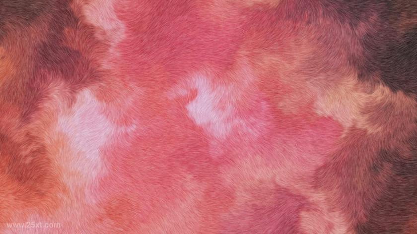 25xt-5042821 Abstract Fur Textures and Backgrounds	10.jpg