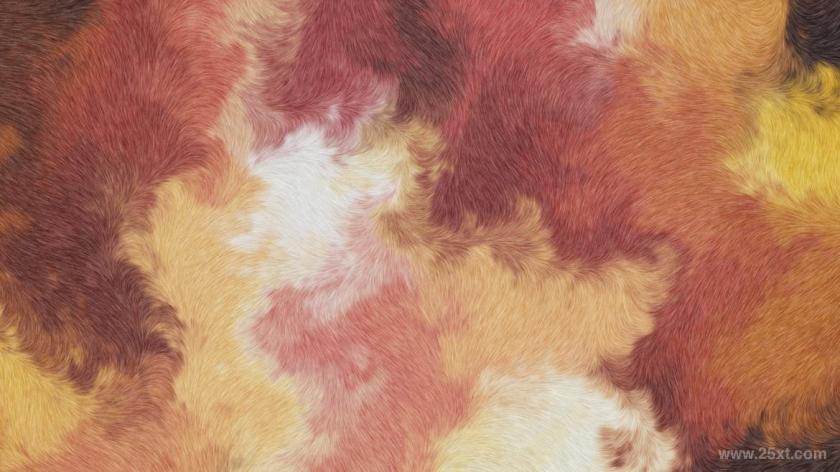25xt-5042821 Abstract Fur Textures and Backgrounds	7.jpg