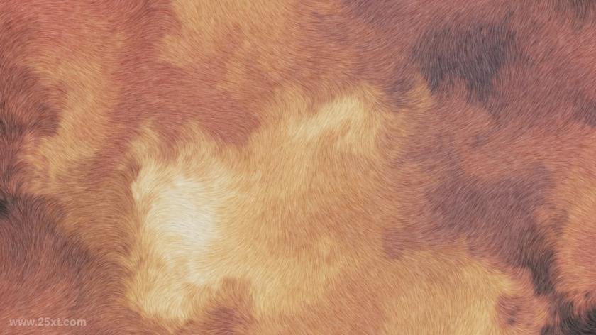25xt-5042821 Abstract Fur Textures and Backgrounds	9.jpg