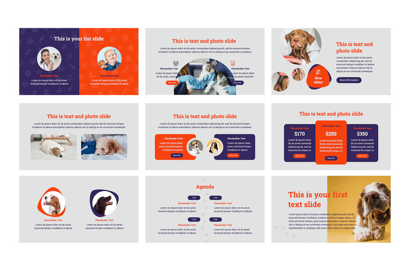 25xt-484320 Pets and Veterinary Clinic Template 2.jpg