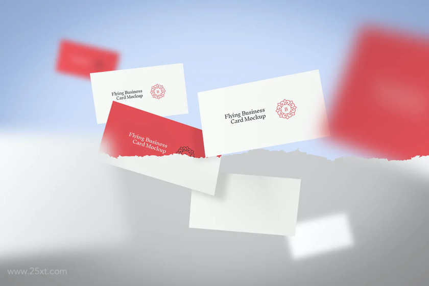 25xt-484333 Flying Business Card Mockup3.jpg