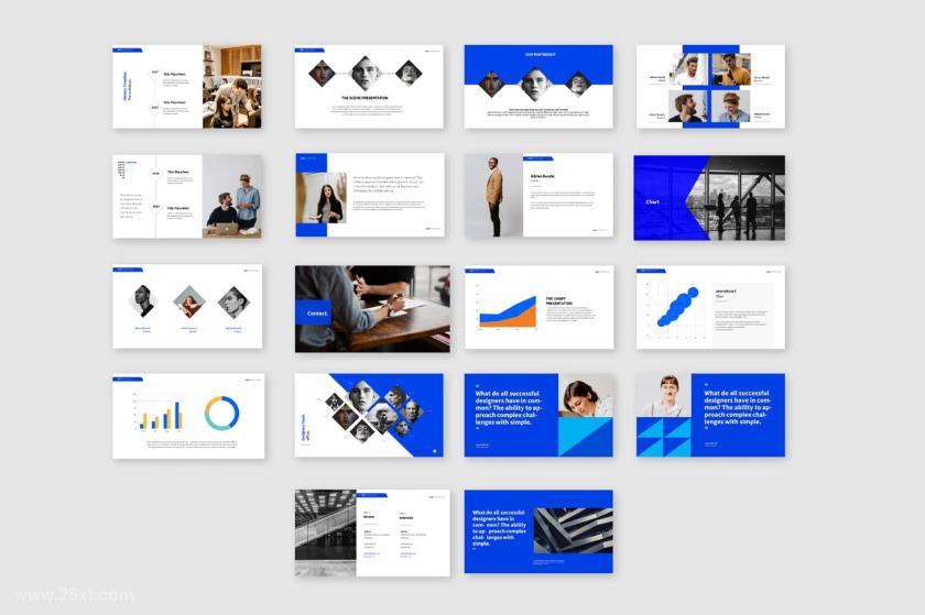 25xt-484413 Cd Blues Presentation	3.jpg