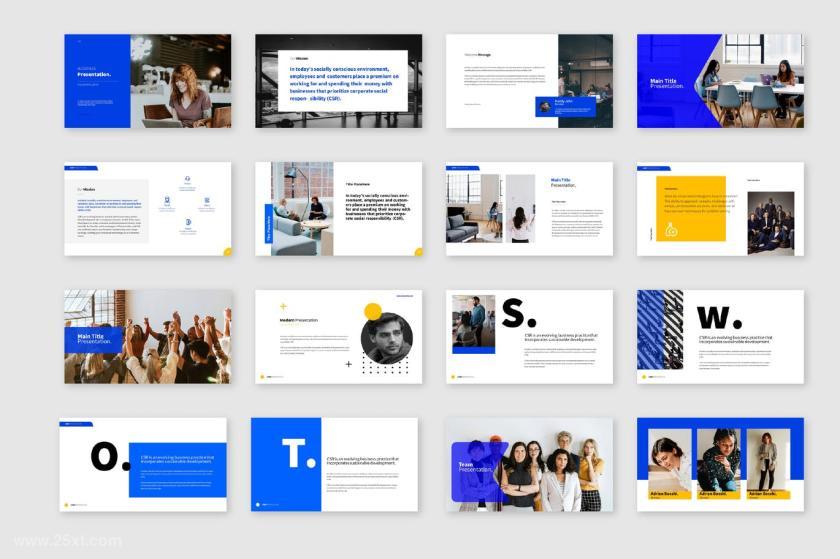 25xt-484413 Cd Blues Presentation	2.jpg