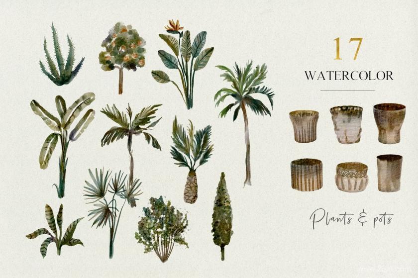 25xt-484441 17 Tropical plants and pots - watercolor set	1.jpg