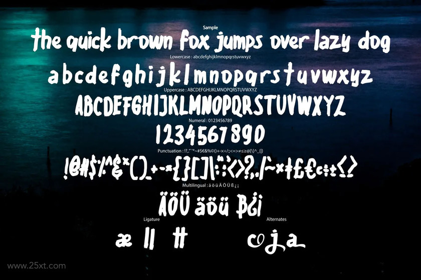 25xt-484535 Enicye Modern Typeface Font5.jpg