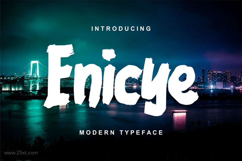 25xt-484535 Enicye Modern Typeface Font6.jpg